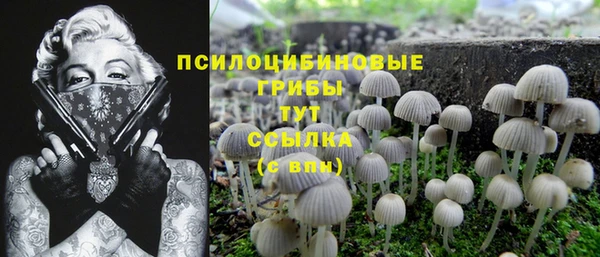 прущая мука Арсеньев