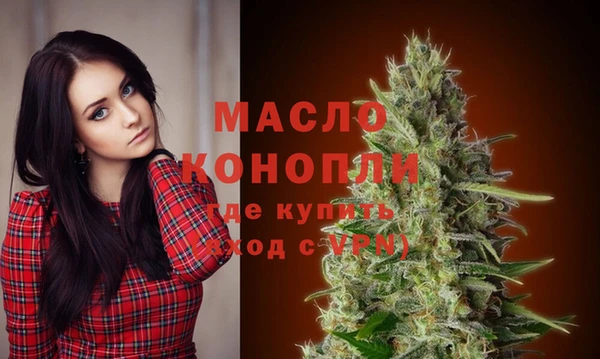 дмт Алексин