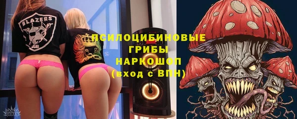 прущая мука Арсеньев