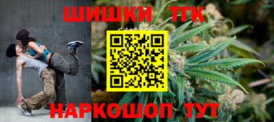 индика Обнинск