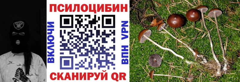 Псилоцибиновые грибы MAGIC MUSHROOMS  гидра ONION  Курган 