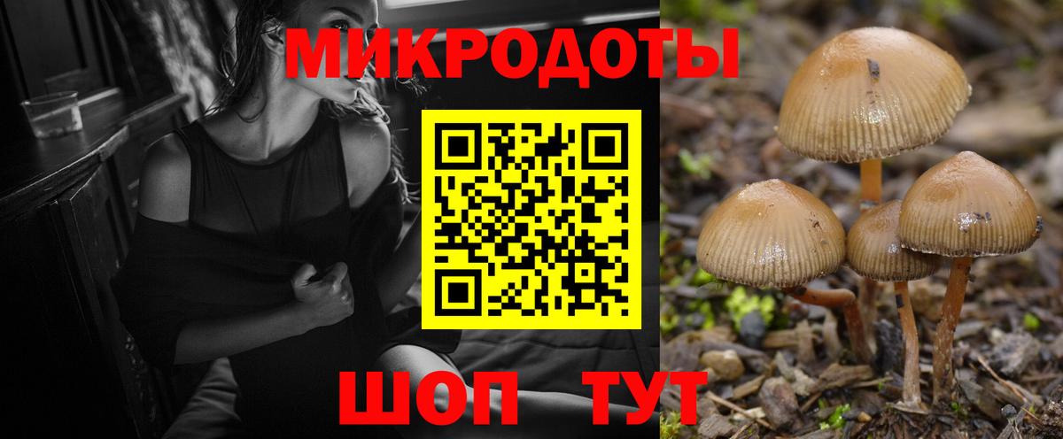 Псилоцибиновые грибы Cubensis  Псилоцибиновые грибы мухоморы  Курган  даркнет сайт  Вход с VPN 